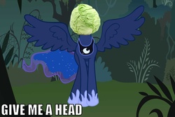 Size: 1019x681 | Tagged: safe, princess luna, g4, cabbage, give me a head, impact font, text