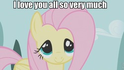 Size: 853x480 | Tagged: safe, edit, edited screencap, screencap, fluttershy, g4, cropped, cute, image macro, shyabetes, solo