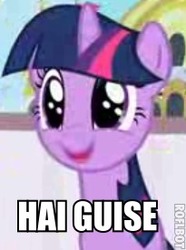 Size: 205x276 | Tagged: safe, twilight sparkle, g4, caption, faic, image macro, lol, needs more jpeg, roflbot, smiling, text