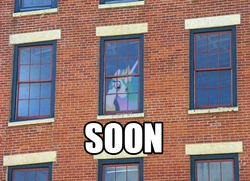 Size: 698x506 | Tagged: safe, princess celestia, g4, image macro, ponies in real life, soon