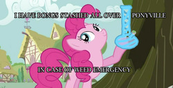 Size: 1009x513 | Tagged: safe, edit, edited screencap, screencap, pinkie pie, g4, it's about time, ball emergency, bong, drugs, meme