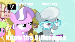 Size: 1000x563 | Tagged: safe, edit, edited screencap, screencap, caramel, carrot top, daisy, diamond tiara, flower wishes, golden harvest, silver spoon, g4, one bad apple, best pony, caption, glasses, hub logo, know the difference, op is trying to start shit, tv rating, worst pony