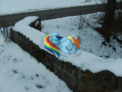 Size: 2560x1920 | Tagged: safe, artist:colorfulbrony, rainbow dash, g4, irl, photo, ponies in real life, sleeping, snow