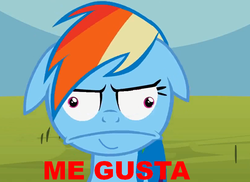 Size: 870x635 | Tagged: safe, rainbow dash, pony, g4, face, faic, me gusta, meme, text