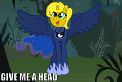 Size: 1019x681 | Tagged: safe, princess luna, oc, oc:ticket, alicorn, pony, g4, alicorn oc, draw on me, exploitable meme, give me a head, meme