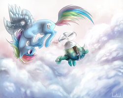 Size: 2500x2000 | Tagged: safe, artist:haunthid, rainbow dash, tank, pegasus, pony, tortoise, g4, cloud, cloudy, female, flying, mare, sky