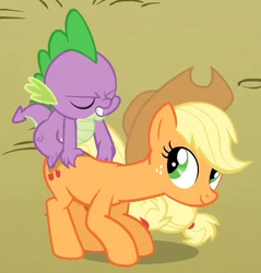 Size: 415x435 | Tagged: safe, screencap, applejack, spike, dragon, earth pony, pony, fall weather friends, g4, cropped, dragons riding ponies, duo, eyes closed, female, male, mare, out of context, riding, spike riding applejack