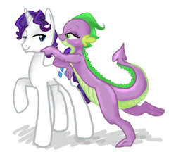 Size: 962x830 | Tagged: safe, artist:sweetchiomlp, rarity, spike, g4, barb, elusive, female, flirting, male, older, rule 63, ship:barlusive, ship:sparity, shipping, straight