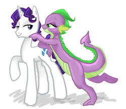 Size: 962x830 | Tagged: safe, artist:sweetchiomlp, rarity, spike, dragon, pony, unicorn, g4, barb, elusive, female, flirting, horn, male, older, rule 63, ship:barlusive, ship:sparity, shipping, simple background, stallion, straight, transparent background