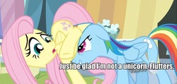 Size: 960x456 | Tagged: safe, edit, edited screencap, screencap, fluttershy, rainbow dash, g4, the crystal empire, caption, cropped, duo, female, image macro, innuendo, personal space invasion, roflbot, text
