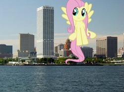 Size: 576x427 | Tagged: safe, fluttershy, pegasus, pony, g4, building, city, female, giant pony, giantess, highrise ponies, irl, macro, mare, marewaukee, milwaukee, photo, ponies in real life, solo, united states, water, wisconsin