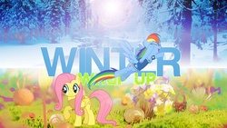 Size: 1920x1080 | Tagged: safe, artist:xtrl, fluttershy, rainbow dash, g4