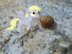 Size: 960x720 | Tagged: safe, derpy hooves, pegasus, pony, g4, female, mare, muffin, ponies in real life