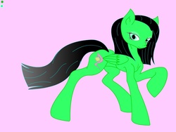 Size: 1200x900 | Tagged: safe, oc, oc only, pegasus, pony