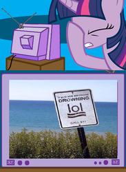 Size: 563x771 | Tagged: safe, twilight sparkle, g4, beach, exploitable meme, facehoof, fail, lol, meme, safety, sign, tv meme