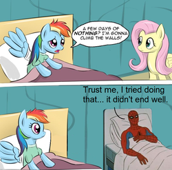 Size: 800x791 | Tagged: safe, artist:beavernator, artist:fajeh, edit, fluttershy, rainbow dash, human, pegasus, pony, g4, read it and weep, 60s spider-man, bandage, bandaged wing, bed, comic, crossover, female, in bed, male, mare, meme, scene parody, spider-man, wings