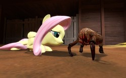 Size: 1680x1050 | Tagged: safe, artist:thenotsosupernova, fluttershy, headcrab, pegasus, pony, g4, 3d, crossover, female, gmod, half-life, mare