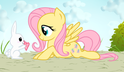 Size: 568x332 | Tagged: safe, artist:lifelspain, angel bunny, fluttershy, g4, duo, female, male, ship:angelshy, shipping, straight, valentine