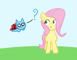 Size: 900x700 | Tagged: safe, fluttershy, pony, g4, bravest warriors, catbug, crossover, cute