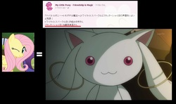 Size: 1114x658 | Tagged: safe, fluttershy, rarity, g4, emiri katou, exploitable meme, incubator (species), japan, japanese, kyubey, meme, meta, puella magi madoka magica, same voice actor, voice actor