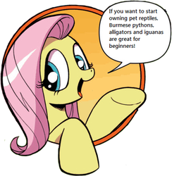 Size: 421x431 | Tagged: safe, idw, fluttershy, friendship is magic #3, g4, my little pony: friendship is magic (idw), bad advice fluttershy, exploitable meme, herpetoculture, meme