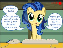 Size: 800x600 | Tagged: safe, oc, oc only, oc:milky way, pony, camera, camera shot, computer, computer mouse, dialogue, female, keyboard, mare, solo, speech bubble