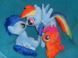 Size: 1024x768 | Tagged: safe, artist:sophie scruggs, rainbow dash, scootaloo, soarin', pegasus, pony, g4, adopted offspring, boop, female, filly, foal, irl, looking at each other, looking at someone, male, mare, noseboop, parent:rainbow dash, parent:soarin', parents:soarindash, photo, plushie, rainbow dash plushie, scootadoption, scootaloo plushie, ship:soarindash, shipping, sitting, smiling, spread wings, stallion, straight, wings