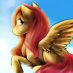 Size: 1000x1000 | Tagged: safe, artist:poppis90, fluttershy, g4, cloud