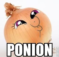 Size: 300x292 | Tagged: safe, edit, g4, dashface, onion, pun, so awesome