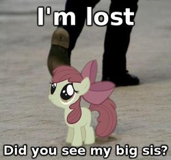 Size: 494x460 | Tagged: safe, apple bloom, g4, image macro, lost, ponies in real life, sad