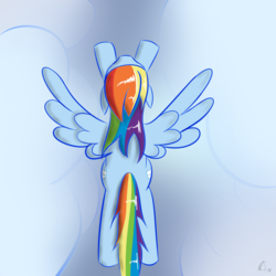 Size: 1200x1200 | Tagged: safe, artist:shade-mod, rainbow dash, pegasus, pony, g4, flying, overhead view, solo, spread wings, wings