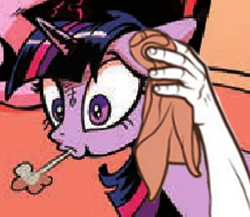 Size: 300x260 | Tagged: safe, edit, idw, twilight sparkle, pony, g4, reaction image, sigh, sweating towel guy