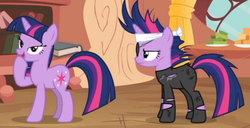 Size: 800x408 | Tagged: safe, screencap, twilight sparkle, g4, it's about time, clone, cut, doppelganger, future twilight, lidded eyes