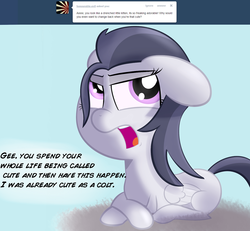 Size: 1280x1182 | Tagged: safe, artist:cosmonaut, rumble, pony, lets ask rumble, g4, female, filly, male to female, rule 63, solo, tumble, tumblr