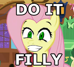 Size: 364x330 | Tagged: safe, edit, edited screencap, screencap, fluttershy, g4, stare master, do it, do it faggot, do it filly, face, image macro, reaction image