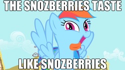Size: 1280x720 | Tagged: safe, edit, edited screencap, screencap, rainbow dash, pegasus, pony, a bird in the hoof, g4, caption, female, innuendo, mare, movie reference, reference, roald dahl, solo, text, tongue out, willy wonka and the chocolate factory