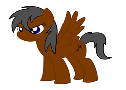 Size: 946x678 | Tagged: source needed, useless source url, safe, oc, oc only, pegasus, pony, aria cappricio