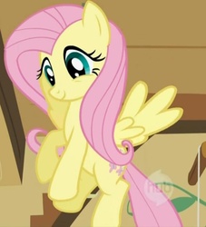 Size: 645x709 | Tagged: safe, edit, edited screencap, screencap, fluttershy, pegasus, pony, a bird in the hoof, g4, season 1, cropped, female, hub logo, mare, solo