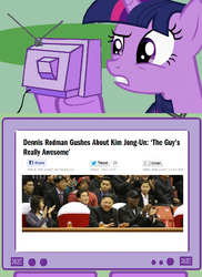 Size: 561x771 | Tagged: safe, twilight sparkle, g4, dennis rodman, exploitable meme, kim jong-un, north korea, tv meme