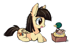 Size: 600x385 | Tagged: safe, artist:pekou, wild fire, duck, mallard, pegasus, pony, g4, cute, egg, female, filly, male, mare, nest, open mouth, ponysona, prone, sibsy, simple background, smiling, solo, that pony sure does love ducks, white background