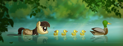 Size: 1376x516 | Tagged: safe, artist:anima-dos, wild fire, duck, mallard, pegasus, pony, g4, animal, cute, duckface, duckling, female, mare, no more ponies at source, pegaduck, ponysona, sibsy, sibsy is a duck, smiling, that pony sure does love ducks, water