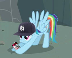 Size: 584x472 | Tagged: safe, rainbow dash, pegasus, pony, g4, cap, energy drink, euro shopper, female, hat, iwtcird, jonne, meme, solo, stretching