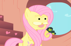 Size: 500x326 | Tagged: safe, edit, edited screencap, screencap, fluttershy, g4, folded wings, indoors, solo, spurdo spärde, wings