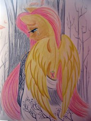 Size: 600x800 | Tagged: safe, artist:misschang, fluttershy, g4, back, clothes, traditional art