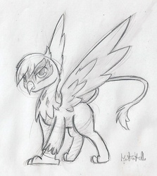 Size: 790x885 | Tagged: safe, artist:martinhello, gilda, griffon, g4, female, monochrome, sketch, solo, traditional art