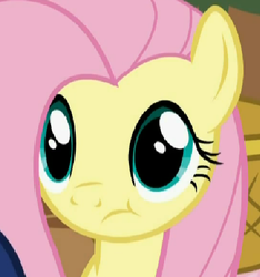 Size: 452x482 | Tagged: safe, screencap, fluttershy, g4, bust, cropped, faic, low quality, lowres, solo