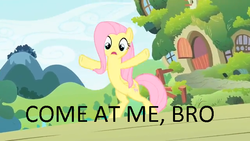 Size: 640x360 | Tagged: safe, fluttershy, g4, come at me bro, image macro