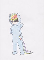 Size: 764x1045 | Tagged: safe, artist:blueheir413, rainbow dash, g4, costume, dave strider, homestuck, sunglasses