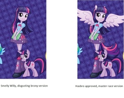 Size: 889x702 | Tagged: safe, twilight sparkle, human, equestria girls, g4, my little pony equestria girls, comparison