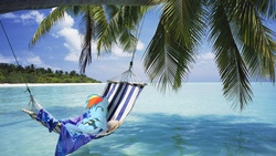 Size: 1920x1080 | Tagged: safe, artist:stormxf3, rainbow dash, pegasus, pony, g4, ^^, beach, book, eyes closed, female, hammock, irl, mare, ocean, photo, ponies in real life, water